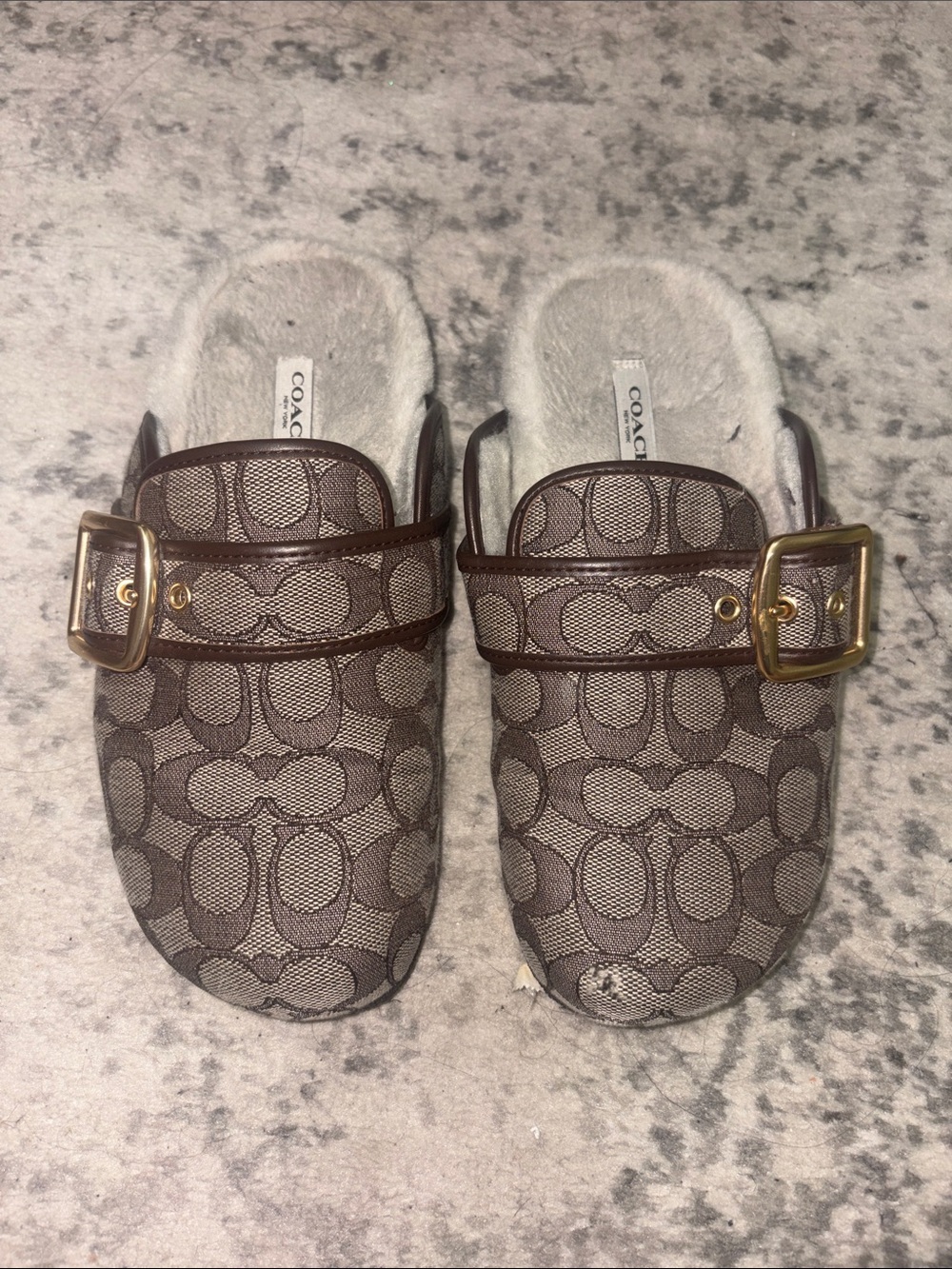 Coach Signature Logo Slip-On Mules in Brown with Gold Buckle